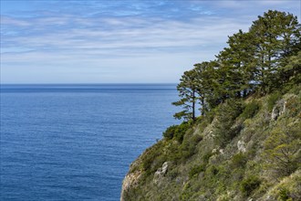 Coastal bluff overlooking Pacific Ocean along Big Sur coast