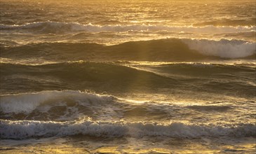 Golden ocean waves washing up on shore at sunrise