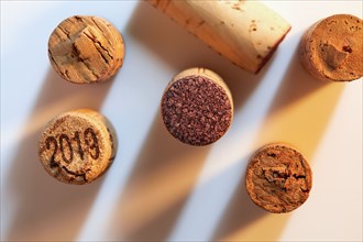 Studio shot of wine corks