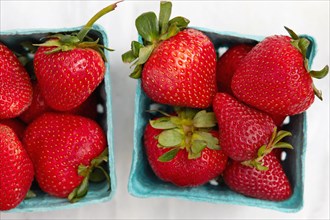 Studio shot of strawberries in carton