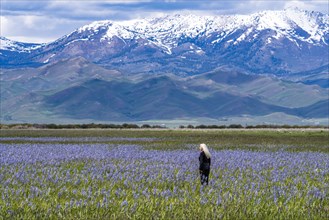 Senior woman standing in field of camas lilies Soldier Mountain in background