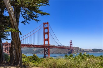 Golden Gate Bridge on sunny day