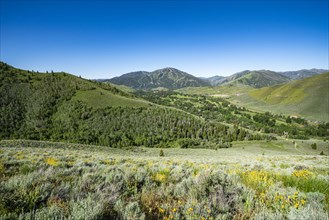 Bald Mountain seen from Proctor Loop Trail in Sun Valley