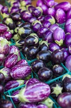 Eggplants at farmers market