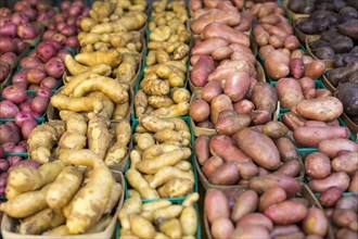 Potatoes at farmers market