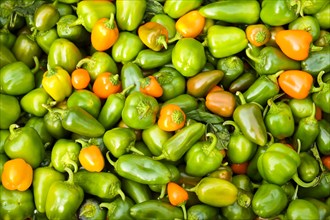 Habaneros and jalapenos at farmers market