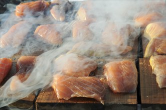 Salmon prepared for smoking