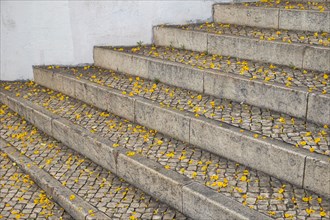 Cobblestone steps