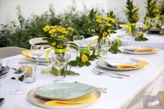 Table prepared for garden party