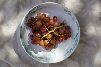 Overhead view of bunch of grapes in bowl