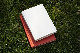Two books on grass