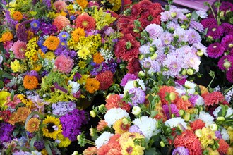 Cful bouquets at farmers market