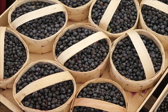 Baskets with blueberries at farmers market