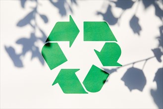 Green recycling symbol on white wall with leaves shadow