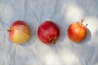 Overhead view of three ripe red and yellow apples