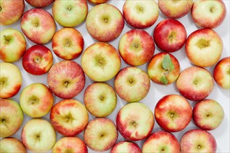 Overhead view of ripe and colorful apples