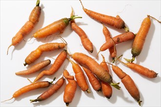 Overhead view of fresh carrots on white background