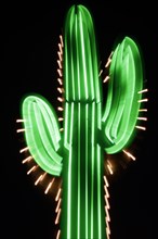 Cactus-shaped neon sign at night