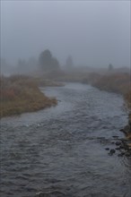 Creek flows through meadow on foggy morning