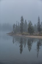 Foggy lake shoreline
