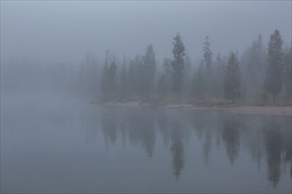 Trees reflection in lake at foggy autumn day
