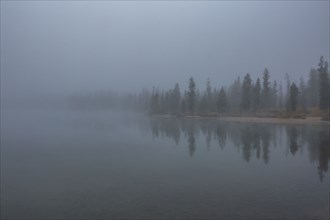 Fog over lake and forest in autumn