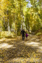 Father and daughter walk through forest in fall