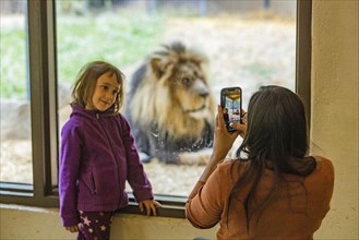 Mother photographing daughter with African Lion at Boise Zoo