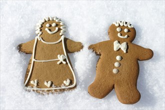 Gingerbread man and woman cookies in snow