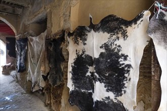 Cow hides hanging to dry in tannery