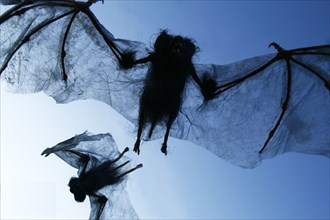 Spooky Halloween bat decorations in sky