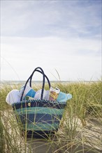 Beach bag with towels on beach