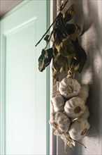 Close-up of garlic hanging in kitchen