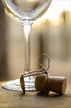 Close-up of wine glass and champagne cork