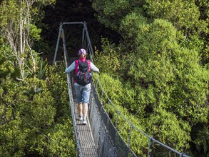 Hiker walking on rope bridge in forest