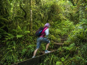 Hiker walking on stairs in forest