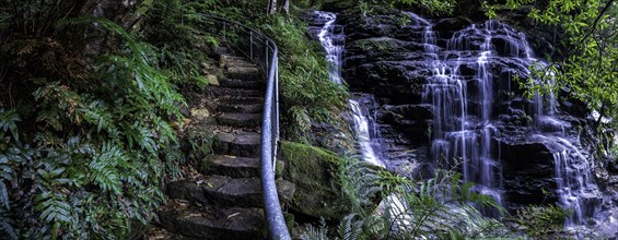 Stairs and waterfall in forest in Blue Mountains National Park