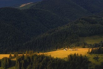 Cottages among mountains in Carpathian Mountains