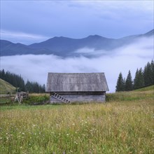 Wooden hut in Carpathian Mountains