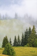 Foggy rolling landscape in Carpathian Mountains