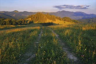 Dirt road in Carpathian Mountains at sunset