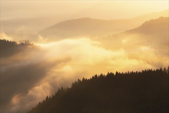 Foggy Carpathian Mountains landscape at sunset