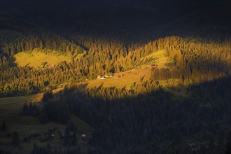 Sunlit rolling landscape in Carpathian Mountains at sunset