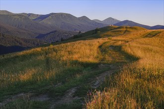 Rolling landscape in Carpathian Mountains at sunset