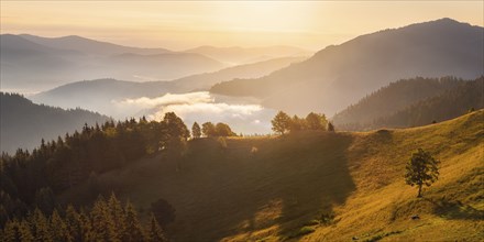 Rolling landscape in Carpathian Mountains at sunset