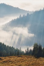 Sunny foggy morning in Carpathian Mountains