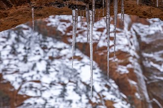 Close-up of icicles hanging from rock