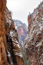 Narrow canyon in mountains in winter