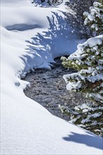 Forest stream with snow on banks
