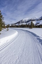 Snow-covered mountains with dirt road